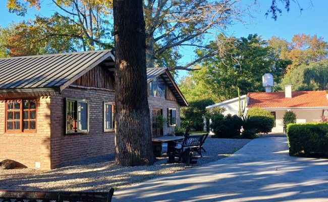 WhatsApp Image 2025-04-21 at 10.58.54