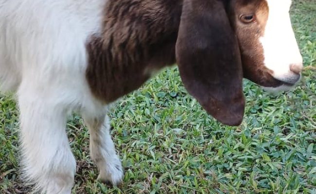 WhatsApp Image 2025-04-28 at 13.16.31