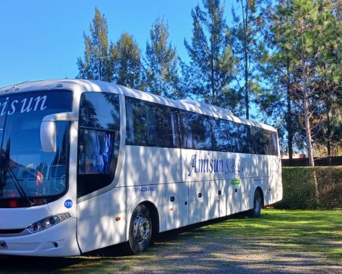 WhatsApp Image 2025-04-28 at 13.17.03