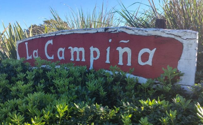 WhatsApp Image 2025-05-31 at 16.42.15 (2)