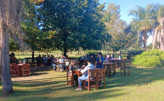 WhatsApp Image 2025-05-31 at 16.42.27 (1)