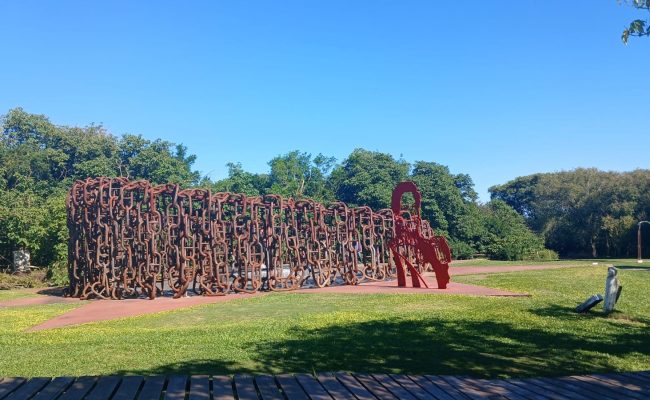 WhatsApp Image 2025-05-31 at 16.42.28 (2)