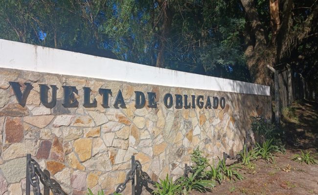 WhatsApp Image 2025-05-31 at 16.42.30 (3)