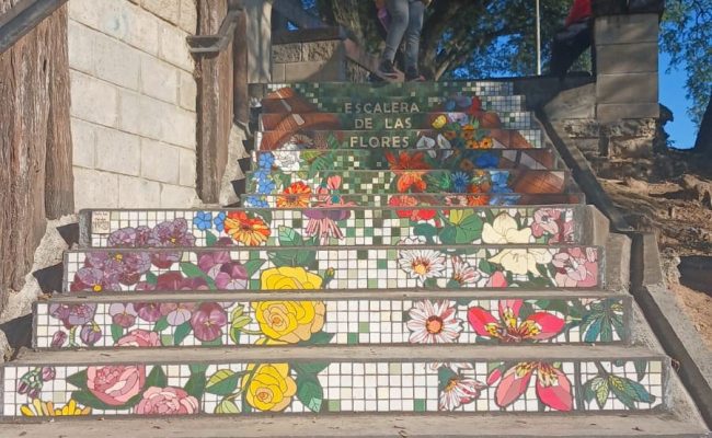 WhatsApp Image 2025-05-31 at 16.42.38 (2)