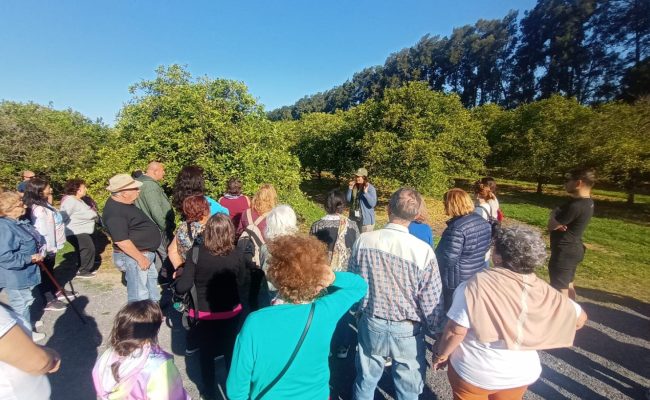 WhatsApp Image 2025-05-31 at 16.42.43 (2)