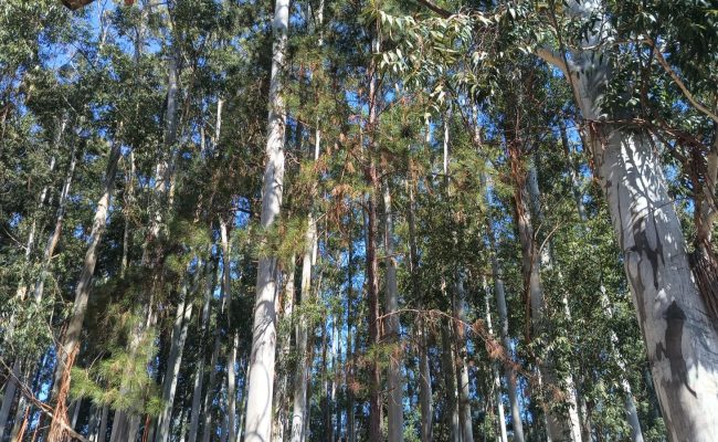 WhatsApp Image 2025-08-09 at 14.55.38