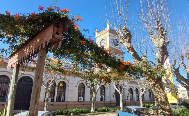 WhatsApp Image 2025-08-23 at 19.05.51