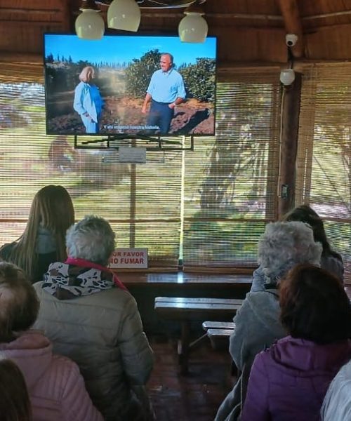 WhatsApp Image 2025-08-23 at 19.06.04 (1)