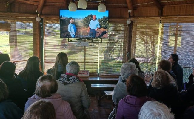 WhatsApp Image 2025-08-23 at 19.06.04 (1)