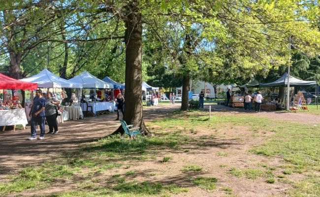 WhatsApp Image 2025-10-12 at 12.24.29