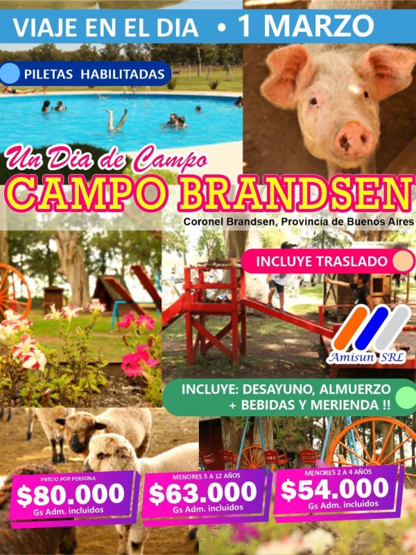 WhatsApp Image 2026-02-04 at 13.41.30 (2)